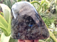 Polished Labradorite Standing Free Form x 2 From Tulear, Madagascar - Toprock Gemstones and Minerals