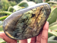 Polished Labradorite Standing Free Form x 2 From Tulear, Madagascar - Toprock Gemstones and Minerals