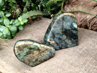 Polished Labradorite Standing Free Form x 2 From Tulear, Madagascar - Toprock Gemstones and Minerals