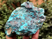 Natural Shattuckite with Chrysocolla and Malachite Cobbed Specimens x 11 From Kaokoveld, Namibia - Toprock Gemstones and Minerals