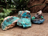 Natural Shattuckite with Chrysocolla and Malachite Cobbed Specimens x 11 From Kaokoveld, Namibia - Toprock Gemstones and Minerals