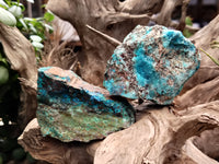 Natural Shattuckite with Chrysocolla and Malachite Cobbed Specimens x 11 From Kaokoveld, Namibia - Toprock Gemstones and Minerals