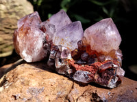 Natural Dark Amethyst Spirit Quartz Clusters x 12 From Boekenhouthoek, South Africa - Toprock Gemstones and Minerals