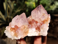 Natural Dark Amethyst Spirit Quartz Clusters x 12 From Boekenhouthoek, South Africa - Toprock Gemstones and Minerals