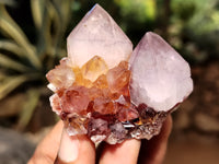 Natural Dark Amethyst Spirit Quartz Clusters x 12 From Boekenhouthoek, South Africa - Toprock Gemstones and Minerals