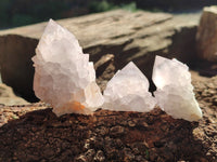 Natural Amethyst Spirit Quartz Clusters x 12 From Boekenhouthoek, South Africa - Toprock Gemstones and Minerals