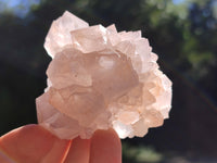 Natural Amethyst Spirit Quartz Clusters x 12 From Boekenhouthoek, South Africa - Toprock Gemstones and Minerals