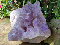 Natural Jacaranda Amethyst Quartz Cluster x 1 From Mumbwa, Zambia - Toprock Gemstones and Minerals