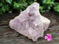 Natural Jacaranda Amethyst Quartz Cluster x 1 From Mumbwa, Zambia - Toprock Gemstones and Minerals