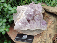Natural Jacaranda Amethyst Quartz Cluster x 1 From Mumbwa, Zambia - Toprock Gemstones and Minerals