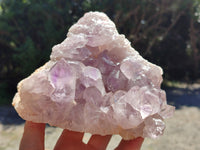 Natural Jacaranda Amethyst Quartz Cluster x 1 From Mumbwa, Zambia - Toprock Gemstones and Minerals