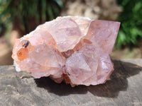 Natural Dark Amethyst Spirit Quartz Clusters x 6 From Boekenhouthoek, South Africa - Toprock Gemstones and Minerals