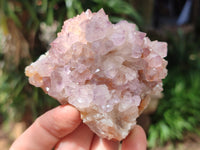 Natural Dark Amethyst Spirit Quartz Clusters x 6 From Boekenhouthoek, South Africa - Toprock Gemstones and Minerals