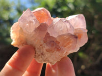 Natural Dark Amethyst Spirit Quartz Clusters x 6 From Boekenhouthoek, South Africa - Toprock Gemstones and Minerals