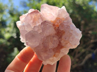 Natural Dark Amethyst Spirit Quartz Clusters x 6 From Boekenhouthoek, South Africa - Toprock Gemstones and Minerals