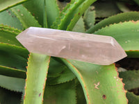 Polished Double Terminated Rose Quartz Points x 6 From Ambatondrazaka, Madagascar - Toprock Gemstones and Minerals