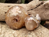 Polished Fossil Flower Agate Palm Stones x 24 From Antsahalova, Madagascar - Toprock Gemstones and Minerals