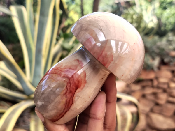 Polished Polychrome Jasper Mushrooms x 3 From Northwest