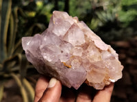 Natural Ametrine Spirit Quartz Clusters x 6 From Boekenhouthoek, South Africa - Toprock Gemstones and Minerals