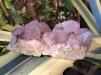 Natural Dark Amethyst Spirit Quartz Clusters x 3 From Boekenhouthoek, South Africa - Toprock Gemstones and Minerals