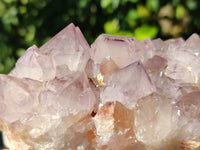 Natural Dark Amethyst Spirit Quartz Clusters x 3 From Boekenhouthoek, South Africa - Toprock Gemstones and Minerals