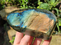 Polished Labradorite Standing Free Form x 2 From Tulear, Madagascar - Toprock Gemstones and Minerals