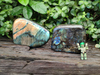 Polished Labradorite Standing Free Form x 2 From Tulear, Madagascar - Toprock Gemstones and Minerals