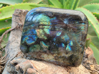 Polished Labradorite Standing Free Form x 2 From Tulear, Madagascar - Toprock Gemstones and Minerals