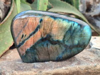 Polished Labradorite Standing Free Form x 2 From Tulear, Madagascar - Toprock Gemstones and Minerals