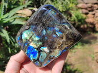 Polished Labradorite Standing Free Form x 2 From Tulear, Madagascar - Toprock Gemstones and Minerals