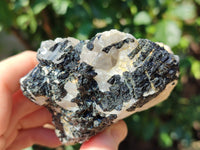 Natural Black Tourmaline On Quartz Matrix Specimens x 6 From Zimbabwe - Toprock Gemstones and Minerals