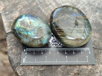 Polished Labradorite Palm Stones x 16 From Tulear, Madagascar - Toprock Gemstones and Minerals