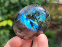 Polished Labradorite Palm Stones x 16 From Tulear, Madagascar - Toprock Gemstones and Minerals