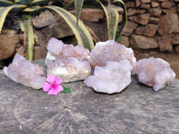 Natural Dark Amethyst Spirit Quartz Clusters x 6 From Boekenhouthoek, South Africa - Toprock Gemstones and Minerals