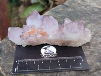 Natural Dark Amethyst Spirit Quartz Clusters x 6 From Boekenhouthoek, South Africa - Toprock Gemstones and Minerals