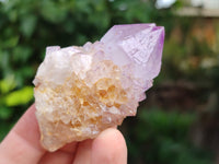 Natural Ametrine Spirit Quartz Clusters x 12 From Boekenhouthoek, South Africa - Toprock Gemstones and Minerals