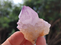 Natural Ametrine Spirit Quartz Clusters x 12 From Boekenhouthoek, South Africa - Toprock Gemstones and Minerals