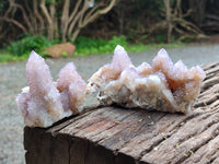 Natural Ametrine Spirit Quartz Clusters x 12 From Boekenhouthoek, South Africa - Toprock Gemstones and Minerals
