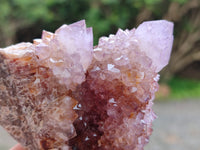 Natural Ametrine Spirit Quartz Clusters x 12 From Boekenhouthoek, South Africa - Toprock Gemstones and Minerals