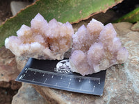 Natural Ametrine Spirit Quartz Clusters x 12 From Boekenhouthoek, South Africa - Toprock Gemstones and Minerals