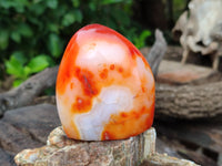 Polished Carnelian Standing Free Forms x 5 From Madagascar - Toprock Gemstones and Minerals
