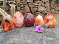 Polished Carnelian Standing Free Forms x 5 From Madagascar - Toprock Gemstones and Minerals