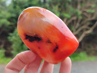 Polished Carnelian Standing Free Forms x 5 From Madagascar - Toprock Gemstones and Minerals