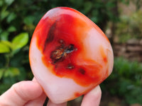 Polished Carnelian Standing Free Forms x 5 From Madagascar - Toprock Gemstones and Minerals