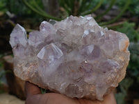 Natural Jacaranda Amethyst Quartz Clusters x 3 From Mumbwa, Zambia - Toprock Gemstones and Minerals