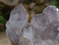 Natural Jacaranda Amethyst Quartz Clusters x 3 From Mumbwa, Zambia - Toprock Gemstones and Minerals