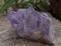 Natural Jacaranda Amethyst Quartz Clusters x 3 From Mumbwa, Zambia - Toprock Gemstones and Minerals