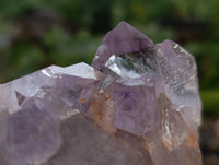 Natural Jacaranda Amethyst Quartz Clusters x 3 From Mumbwa, Zambia - Toprock Gemstones and Minerals