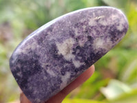 Polished Lepidolite Free Forms x 6 From Zimbabwe - Toprock Gemstones and Minerals
