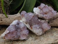 Natural Dark Amethyst Spirit Quartz Clusters x 3 From Boekenhouthoek, South Africa - Toprock Gemstones and Minerals